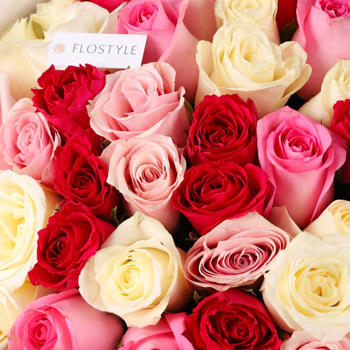 buket 51 roza 7